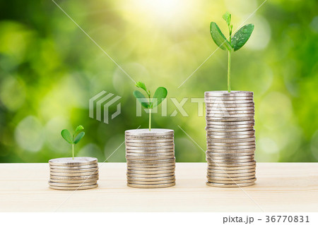 Sprout growing from stack of coins 36770831