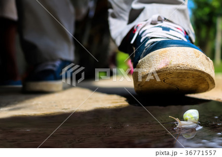 The foot stepped on a snail. 36771557