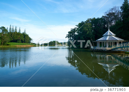 3D Landscape 36771903