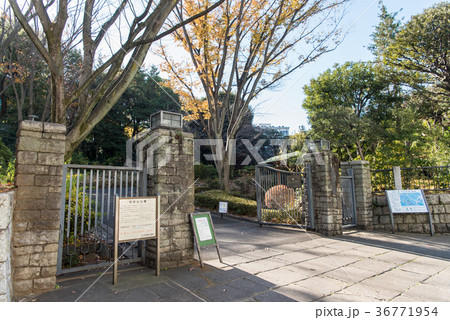 池田山公園（東京都品川区） 36771954