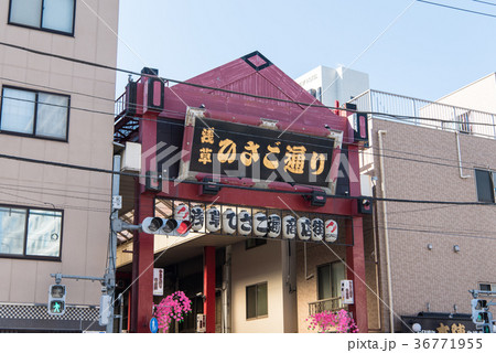 浅草ひさご通り商店街（言問通り側） 36771955