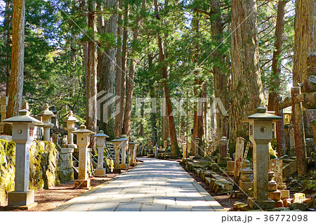 高野山 奥の院 和歌山県伊都郡高野町高野山の写真素材