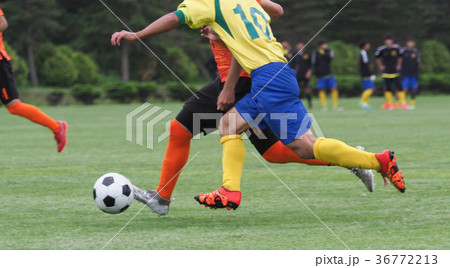 サッカー フットボール サッカー フットボール 36772213
