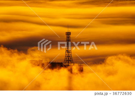 冬の風景 冬の風景 36772630