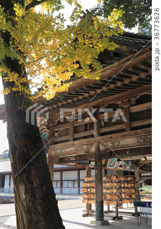 金刀比羅宮「絵馬堂」 36773626