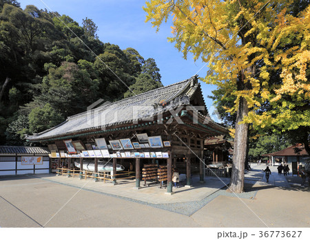 金刀比羅宮「絵馬堂」 36773627