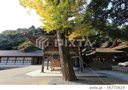 金刀比羅宮「絵馬堂」と「三穂津姫社」 金刀比羅宮「絵馬堂」と「三穂津姫社」 36773629