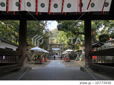 金刀比羅宮「大門」から見る桜馬場 36773646