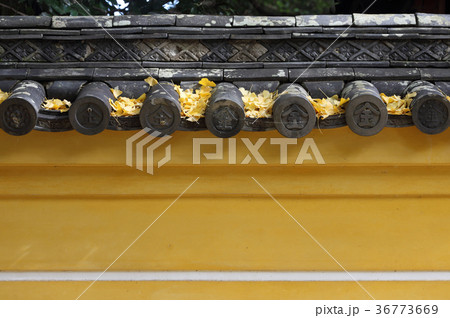 金刀比羅宮の塀(最高位の寺格を表す五本線) 金刀比羅宮の塀(最高位の寺格を表す五本線) 36773669