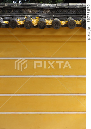 金刀比羅宮の塀（最高位の寺格を表す五本線） 36773670