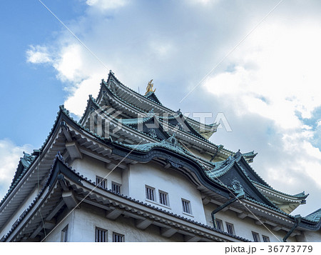 名古屋城 36773779