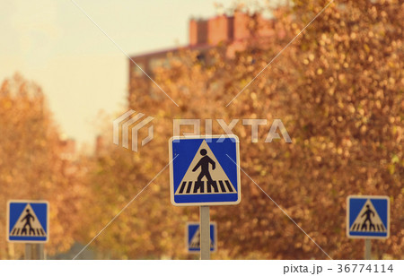Crosswalk signs in urban area Crosswalk signs in urban area 36774114