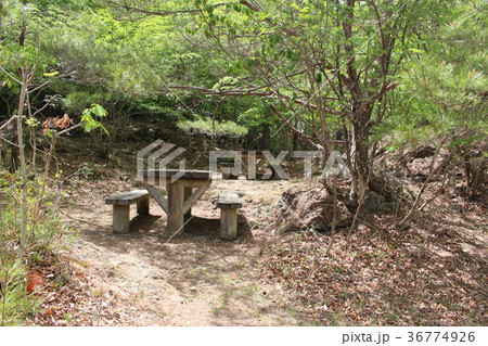 龍王峡・むささび橋脇のベンチ 36774926