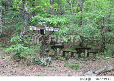 龍王峡自然探求路のむささび茶屋の道しるべ 36774931