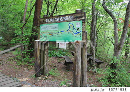 龍王峡自然探求路の案内図 36774933