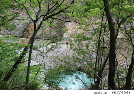 龍王峡・白龍峡の流紋岩の割目 36774943