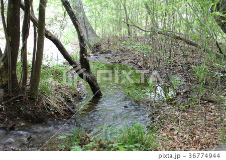 龍王峡・白龍峡の湧水 36774944