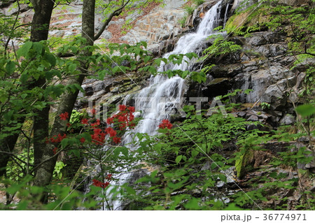 龍王峡・白龍峡・虹見の滝 36774971