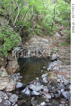 龍王峡・白龍峡・竪琴の滝からの流れ 龍王峡・白龍峡・竪琴の滝からの流れ 36774973