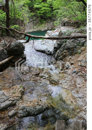 龍王峡・白龍峡・竪琴の滝からの流れ 龍王峡・白龍峡・竪琴の滝からの流れ 36774976