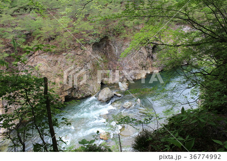 龍王峡・鬼怒川の流れと白龍峡 36774992