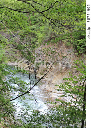龍王峡・鬼怒川の流れと白龍峡 龍王峡・鬼怒川の流れと白龍峡 36774996