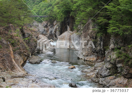 龍王峡・白龍峡 龍王峡・白龍峡 36775037