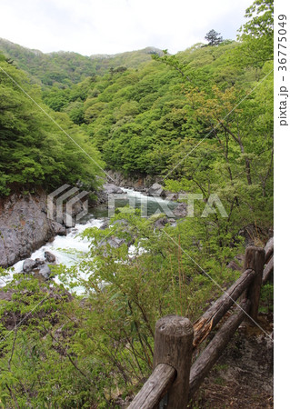 龍王峡・紫龍峡の自然探求路 36775049