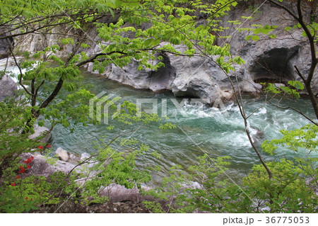 龍王峡・青龍峡のかめ穴 36775053