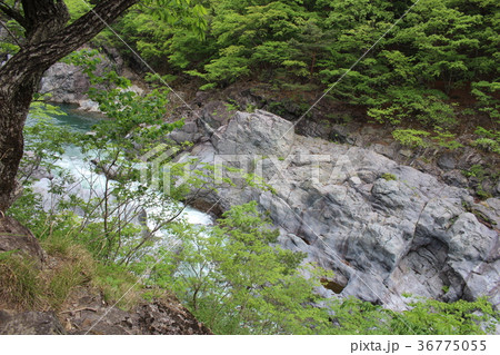 龍王峡・青龍峡のかめ穴 36775055