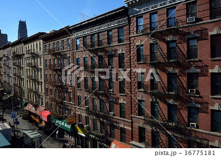 ニューヨーク 36775181