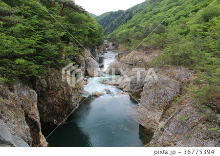 龍王峡・むささび橋から望む青龍峡 36775394