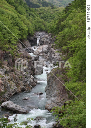 龍王峡・大観から望む青龍峡 36775401