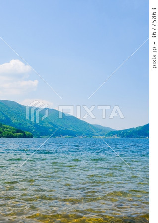 春・新緑の木崎湖 春・新緑の木崎湖 36775863