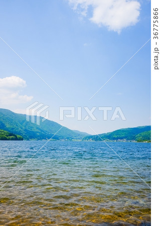 春・新緑の木崎湖 36775866