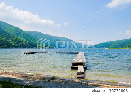 春・新緑の木崎湖 春・新緑の木崎湖 36775868