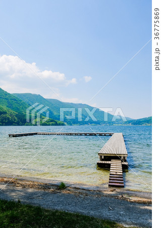 春・新緑の木崎湖 36775869