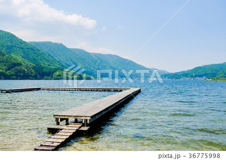 春・新緑の木崎湖 36775998