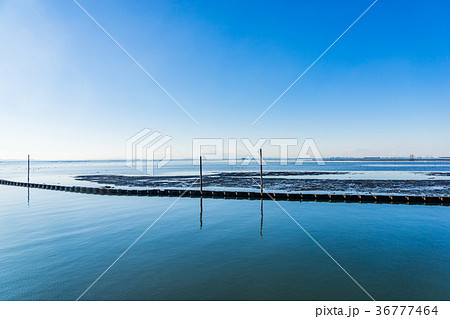 【千葉県】江川海岸 【千葉県】江川海岸 36777464