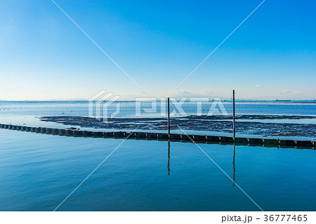 【千葉県】江川海岸 【千葉県】江川海岸 36777465