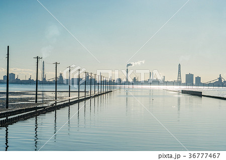 【千葉県】江川海岸 【千葉県】江川海岸 36777467