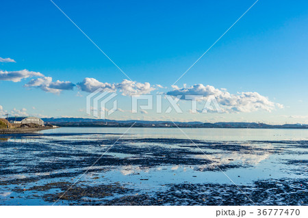 【千葉県】江川海岸 【千葉県】江川海岸 36777470