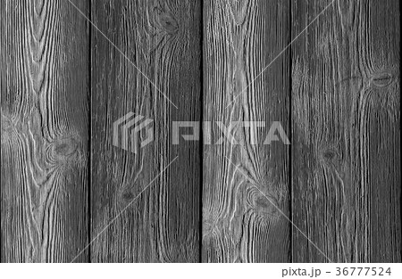 background texture of a tree gray board vertical background texture of a tree gray board vertical 36777524