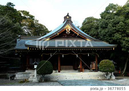 和歌山市 亀山神社本殿 和歌山市 亀山神社本殿 36778055