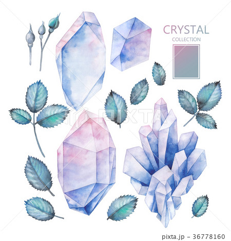 Watercolor crystals and leaves 36778160