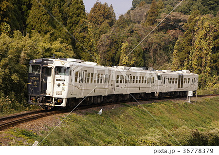 白と黒の車体　特急「指宿のたまて箱」（キハ47・140） 36778379