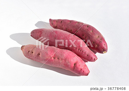 さつまいも（なると金時） 36778408