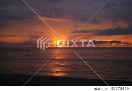 Sunset Sunset 36778499