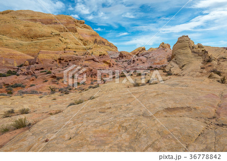 Rock desert in Arizona 36778842