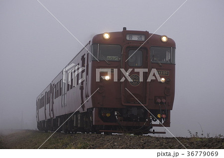 濃霧の中のいさぶろう・しんぺい 36779069